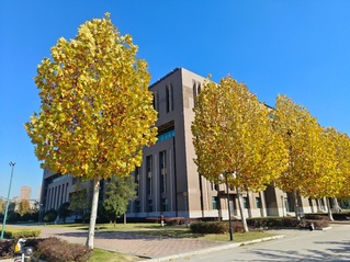 秋韵里的建筑诗